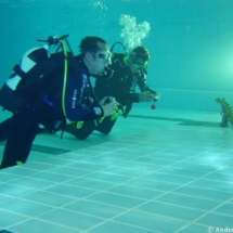 best_of_bleschke_034 best_of_bleschke_034