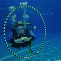 best_of_bleschke_037 best_of_bleschke_037