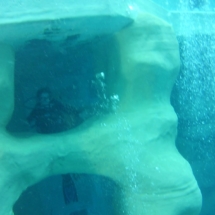 IMG-20200804-WA0000 IMG-20200804-WA0000